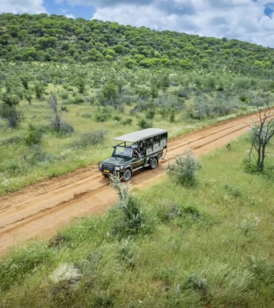 namibias known highlights, Ongava Lodge, game drive