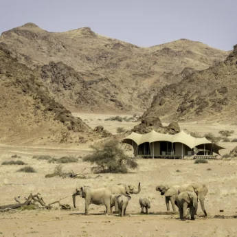 Hoanib Skeleton Coast 2014 08 319