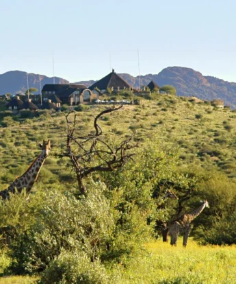 GocheGanas Lodge with Giraffe