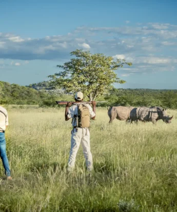 walking safari, little ongava, etosha national park, namibia