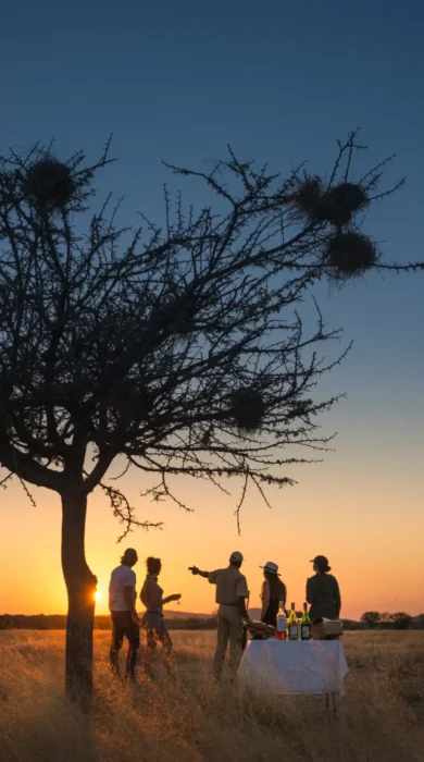 Sundowners, Ongava Tented Camp, Etosha National Park, Namibia