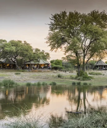 Onguma Tented Camp Watering Hole 0247