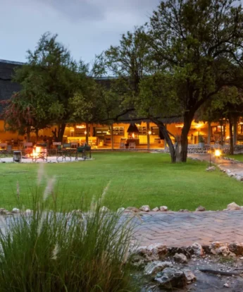 mushara bush lodge namibia yellow zebra safaris