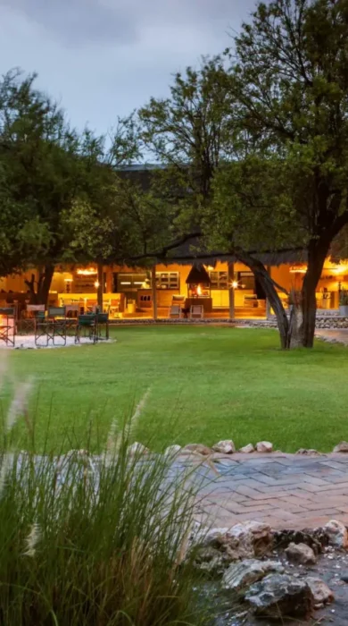 mushara bush lodge namibia yellow zebra safaris
