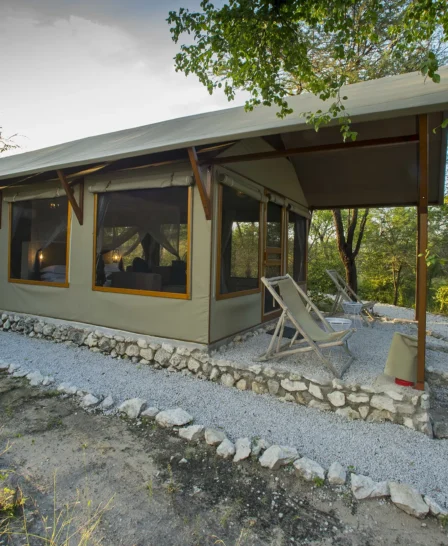 tent mushara bush lodge namibia yellow zebra safaris