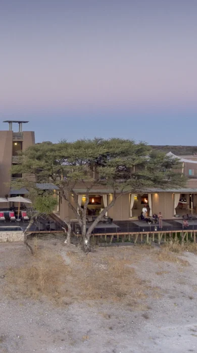 aerial onguma the fort namibia yellow zebra safaris