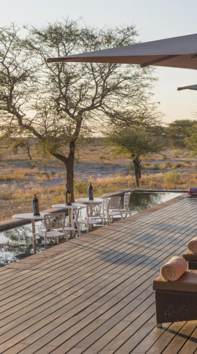 pool veranda onguma the fort namibia yellow zebra safaris