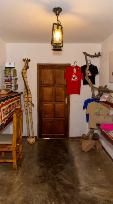 Curio Shop