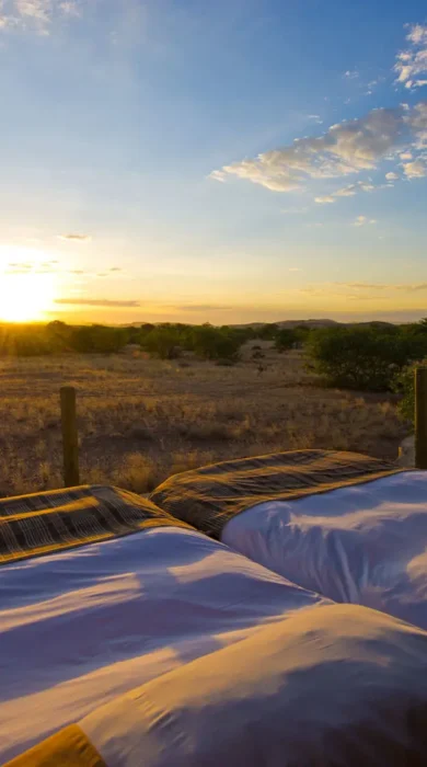 sleepout doro nawas camp namibia yellow zebra safaris