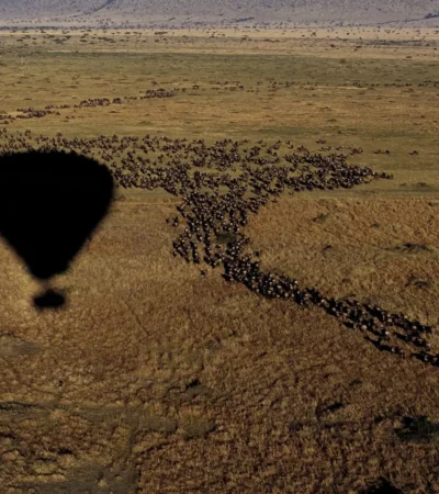 Hot air ballooning, The Serengeti, Tanzania