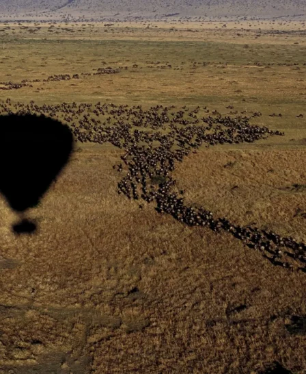 Hot air ballooning, The Serengeti, Tanzania