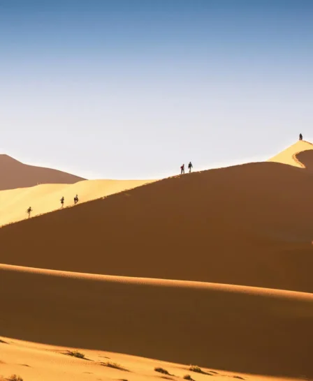 big dune walk, sossusvlei desert lodge, namibia