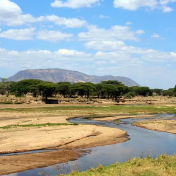 Ruaha river, Ruaha National Park landscape, Tanzania