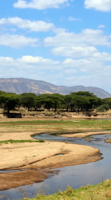 Ruaha river, Ruaha National Park landscape, Tanzania