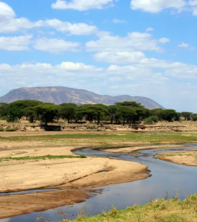 Ruaha river, Ruaha National Park landscape, Tanzania