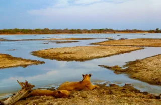 fly camping selous tanzania client blog 15