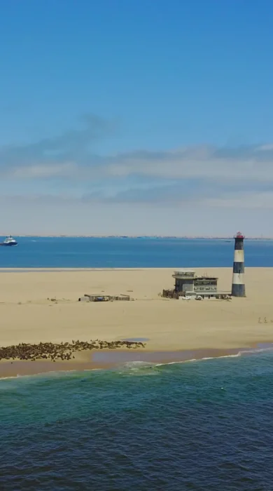 pelican point, swakopmund and walvis bay, namibia safaris