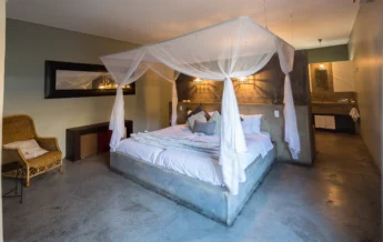 bedroom olive grove guesthouse namibia yellow zebra safaris