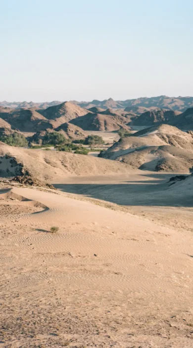 Namibia safari