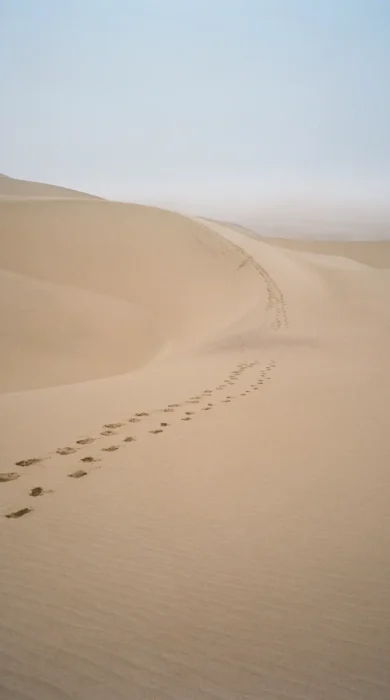 Footsteps in the dunes Namibia