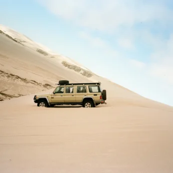 Namibia game drives