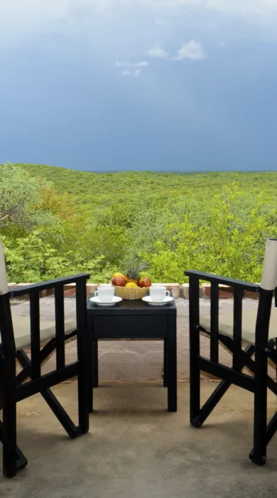 Etosha safari lodge nature view