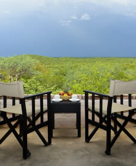 Etosha safari lodge nature view