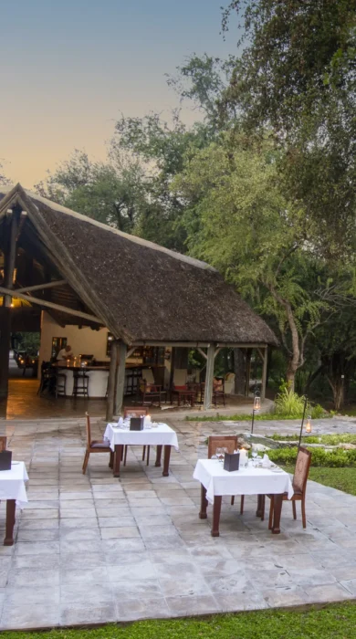 outdoor dining, onguma forest camp, etosha national park, namibia