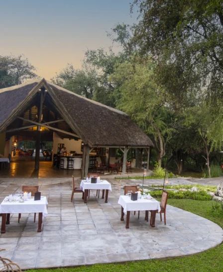 outdoor dining, onguma forest camp, etosha national park, namibia