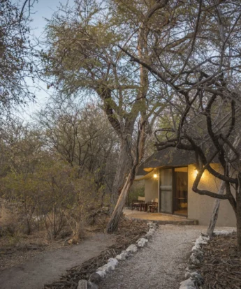 explorer bungalow, onguma forest camp, etosha national park, namibia