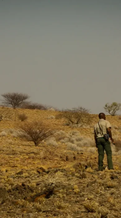 Rhino Tracking