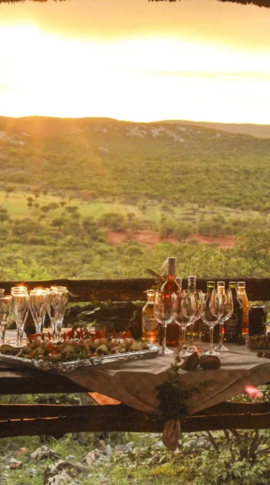 Safari drinks