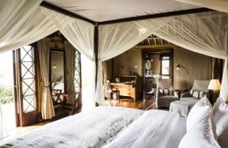 Safari room
