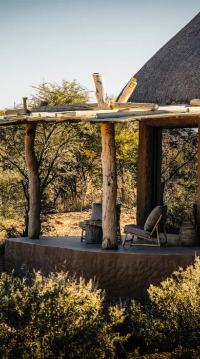 omaanda windhoek namibia view yellow zebra safaris