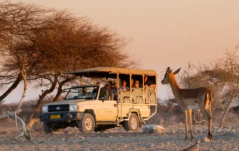 Safari game drive, Onguma Camp Kala, Namibia