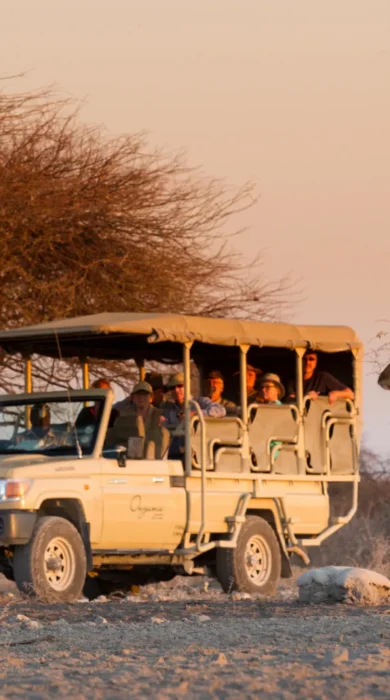 Safari game drive, Onguma Camp Kala, Namibia