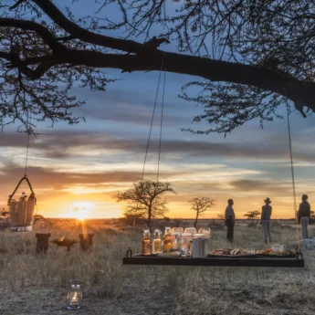Safari sundowner, Onguma Camp Kala, Namibia