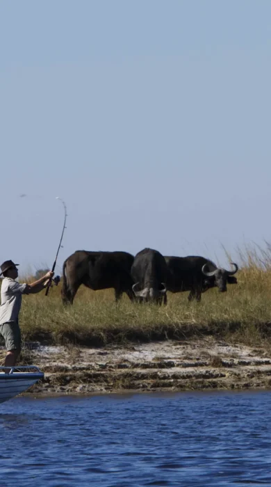 Fishing, Chobe Savanna Lodge, Caprivi Strip, Namibia