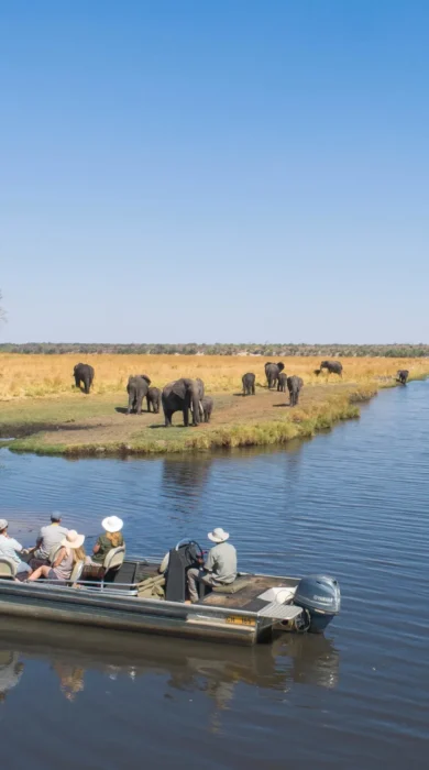 River Safari, Chobe Savanna Lodge, Caprivi Strip, Namibia