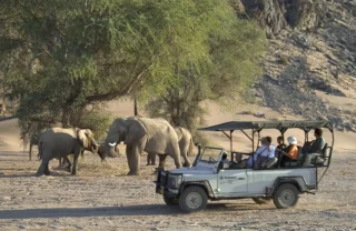 elephant game drives, damaraland, namibia safaris