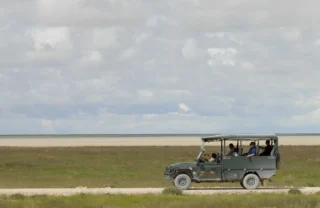 game drives in etosha national park, namibia safaris