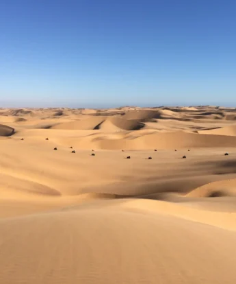 dune riding, swakopmund and walvis bay, namibia safaris