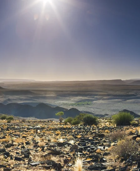 game drive in fish river canyon, namibia safaris