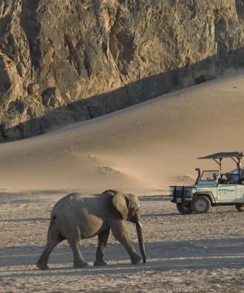 Damaraland59(2)