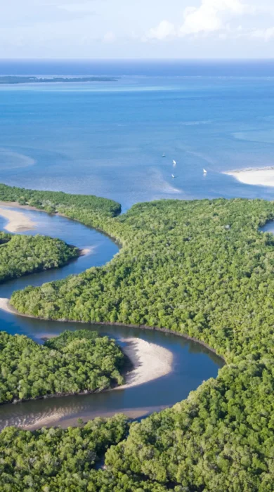 Mangrove canals Ibo Island Lodge