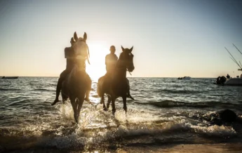 antantara bazaruto island resort spa horse riding mozambique yellow zebra safaris
