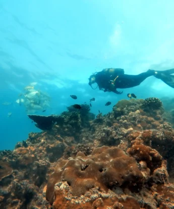 Benguerra Island Scuba Diving