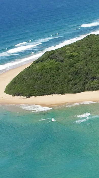 white pearl bay