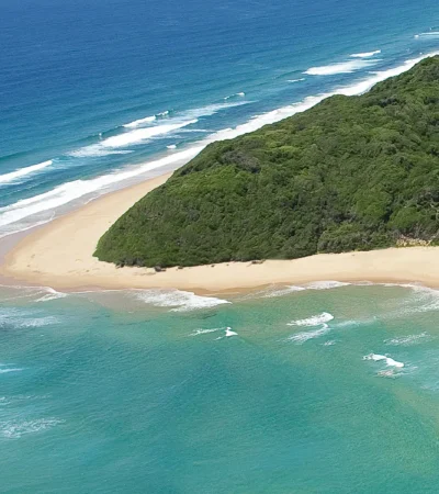 white pearl bay