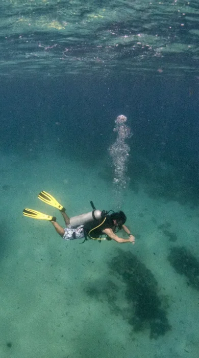 great visibility